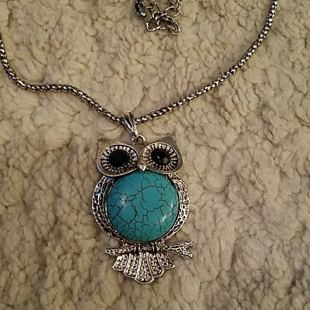 Cutest ever owl necklace if you like owls!